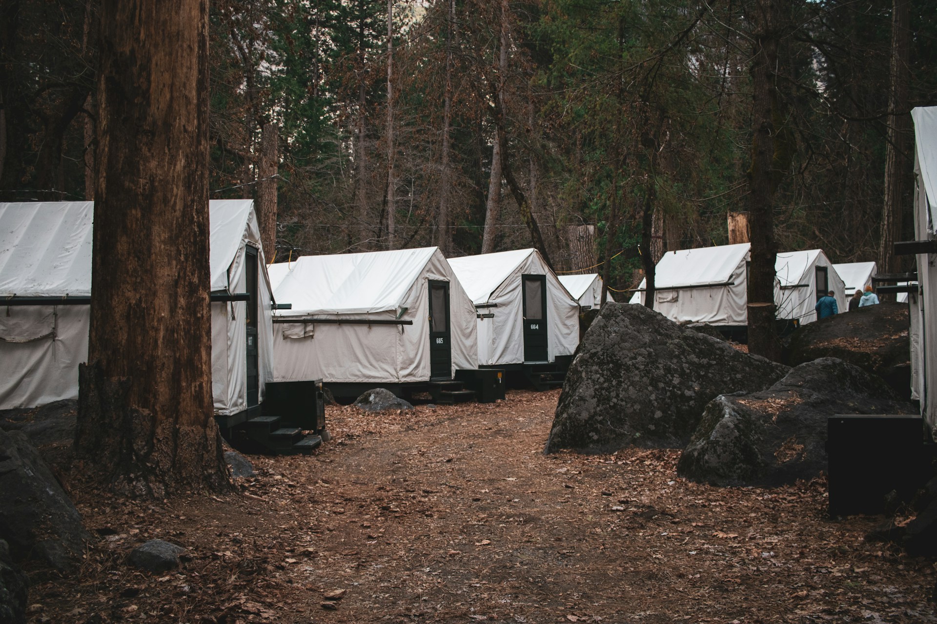 christian-mack-QQnZKpctcGs-unsplash (1)